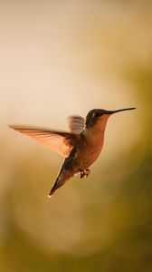 Photo de Mark Olsen via Unsplash